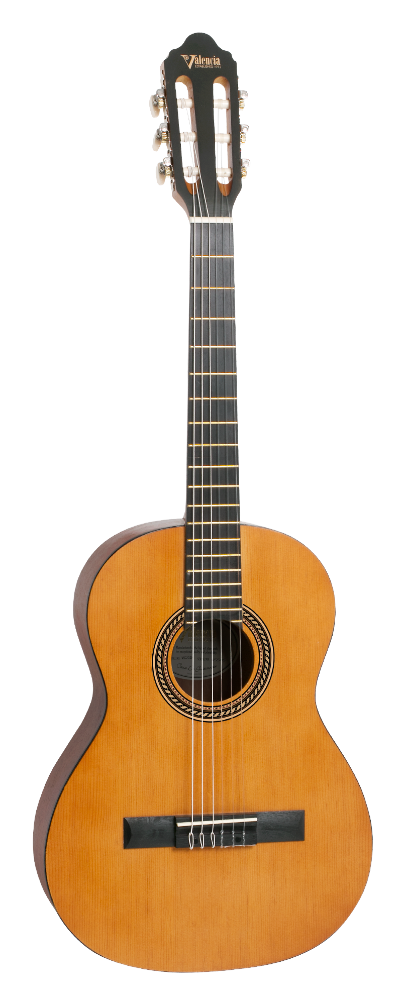 200h Series – Valencia Guitars