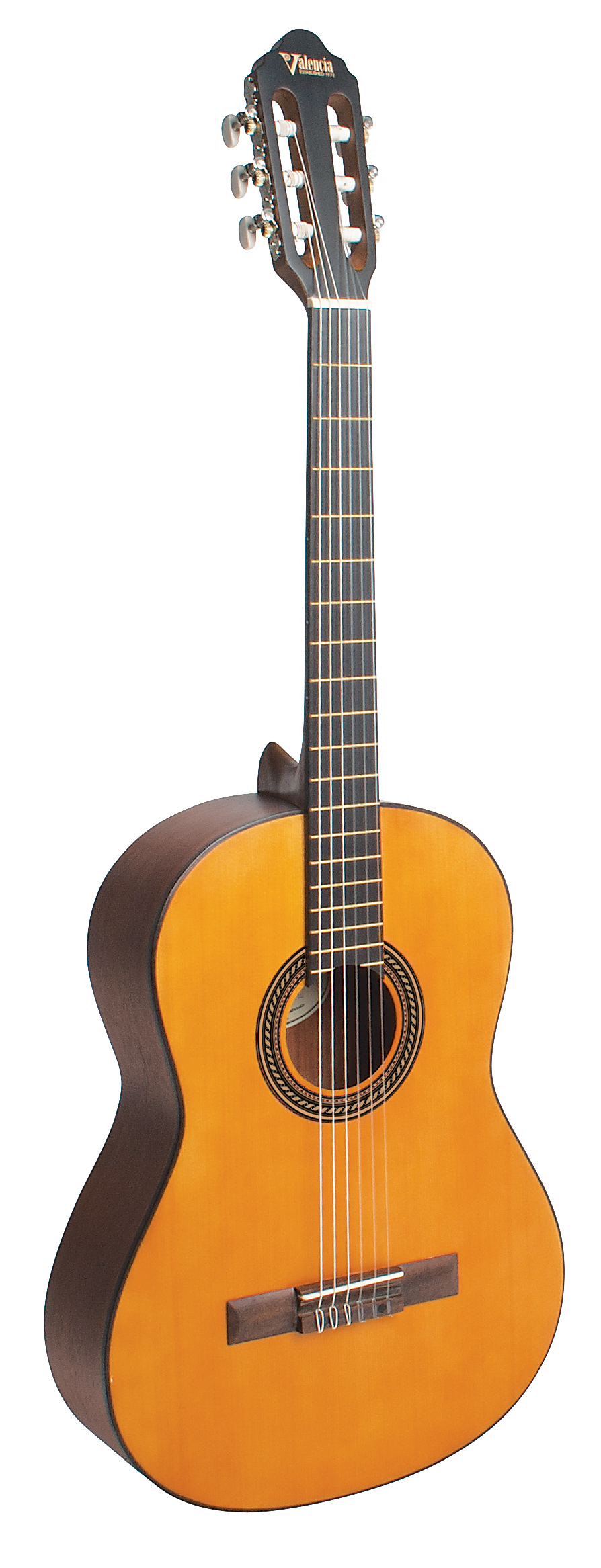 200 Series – Valencia Guitars