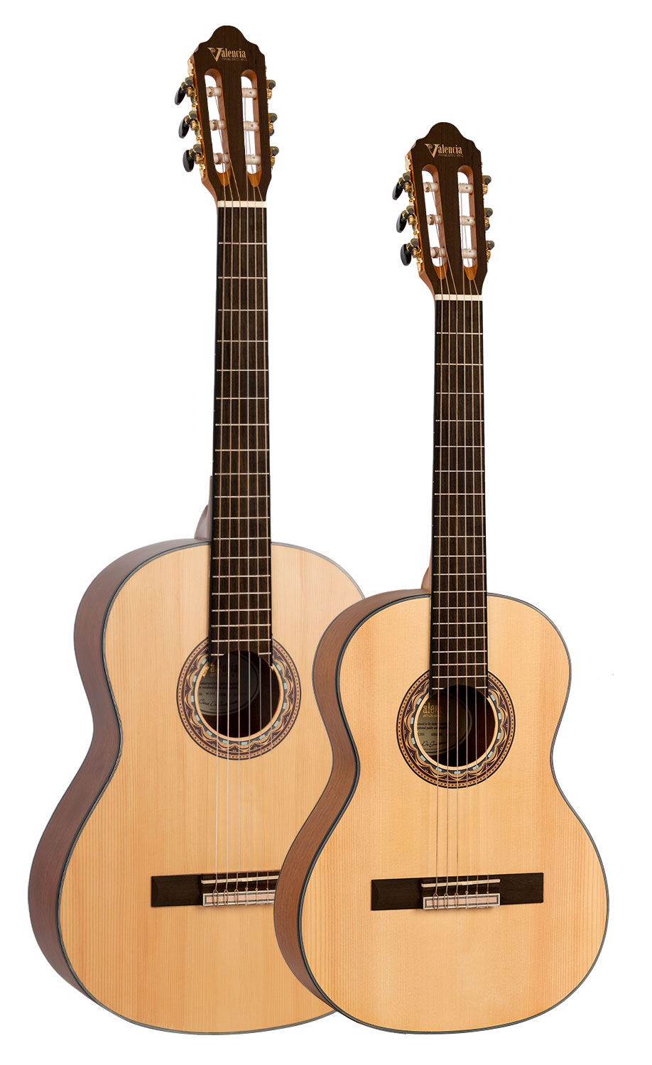 300 Series Valencia Guitars