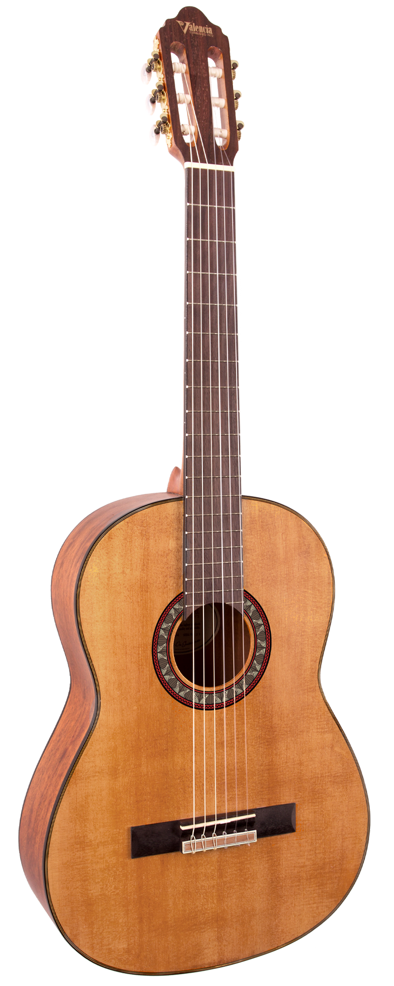 400 Series – Valencia Guitars