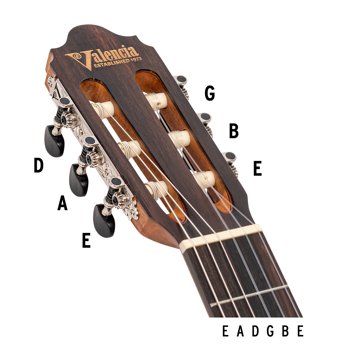 How to tune your Guitar – Valencia Guitars