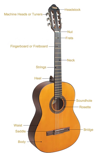 Guitar Parts